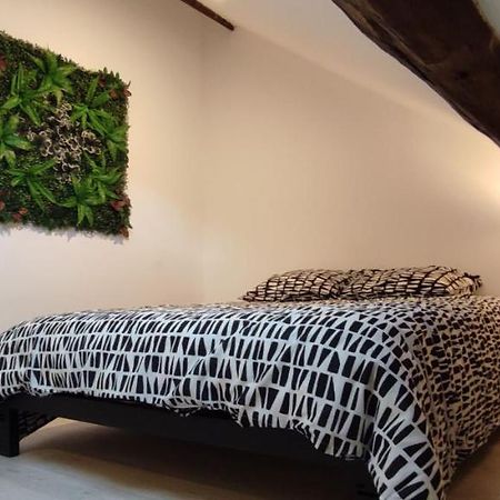 202 Duplex A Colombage En Plein Centre Ville 博格斯 外观 照片